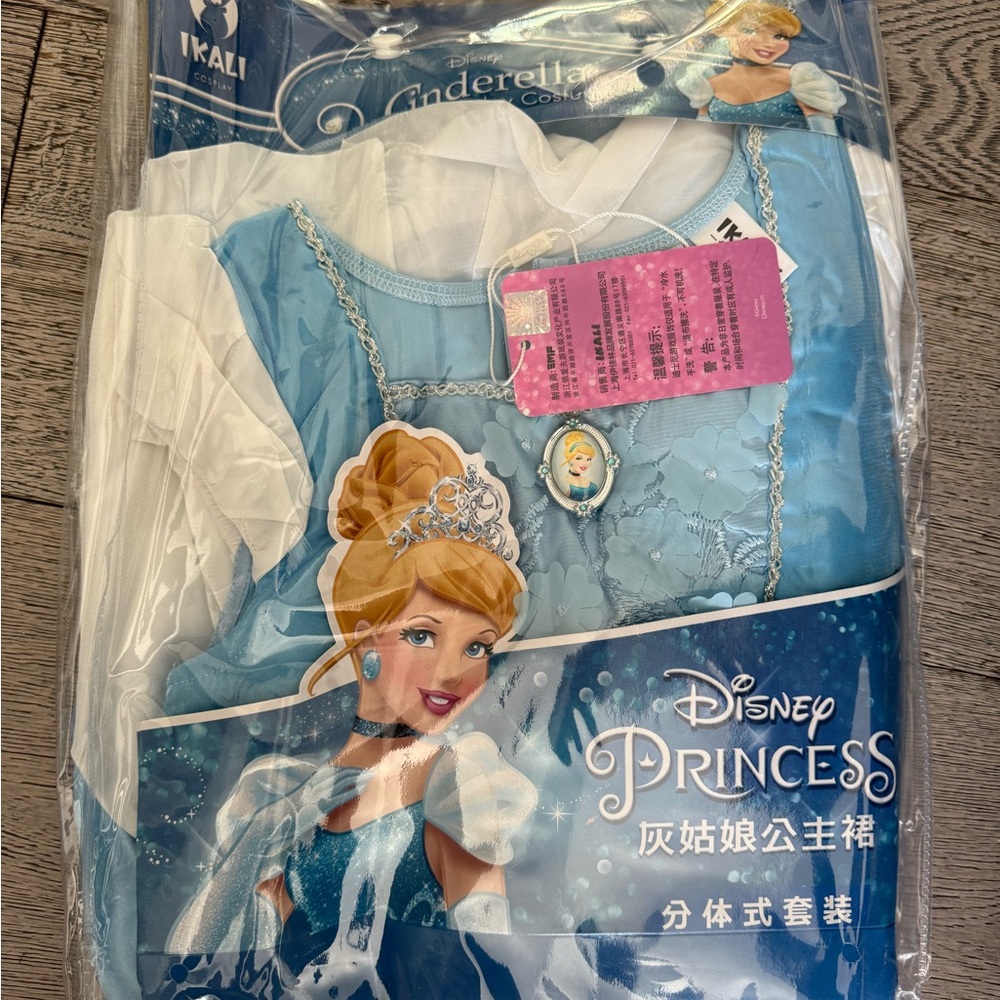 Disney Princess Cinderella Costume